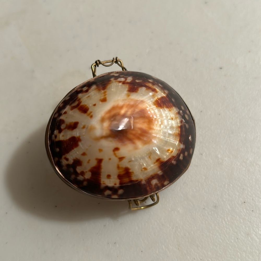 Natural Limpet Shell Brass Hinged Trinket Jewelry Pill Box Brown And White